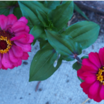 In Retrospect – 2022