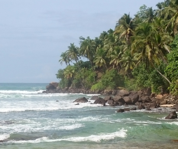 Mirissa beach