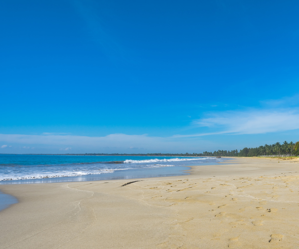 Pasikuda Beach