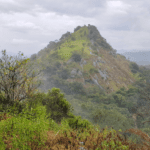 Thoppigala