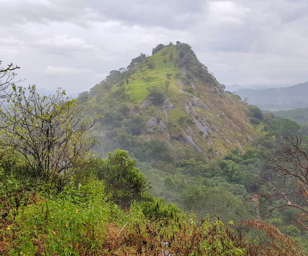 Thoppigala