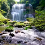 Waterfalls