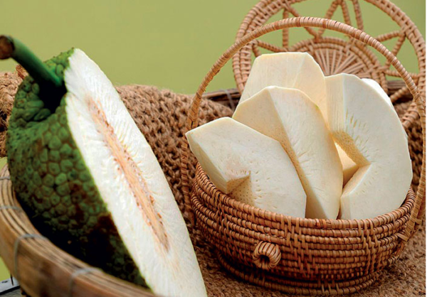Breadfruit