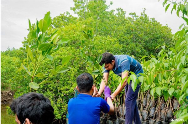 norlanka-and-university-of-kelaniya-plantation-project