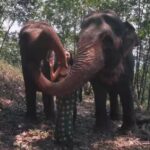 A Cinematic Travel Film