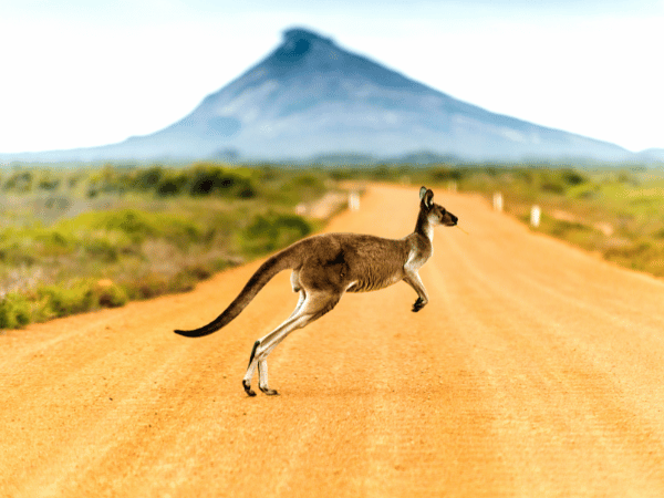 Foul Bay, Banana, Nowhere Else and other Australian places with weird names