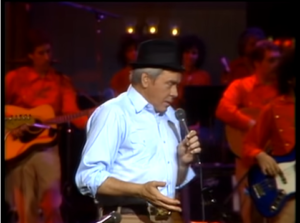 "Tom T. Hall - Old Dogs, Children and Watermelon Wine" – by Des Kelly