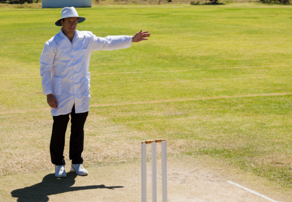 umpire