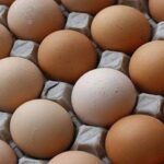 eggs