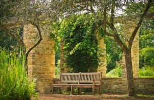 bench