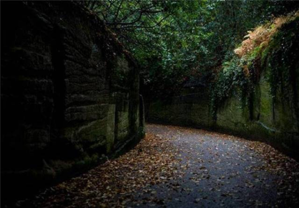 ROADS