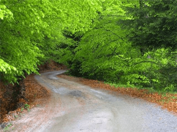 ROADS