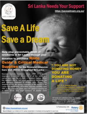 Save A Dream 2022 End of Year Report