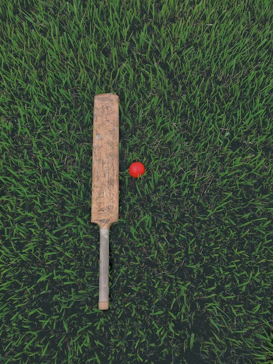 Cricket