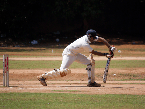 Cricket