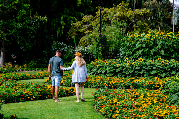 Gampaha henarthgoda Botanical Gardens