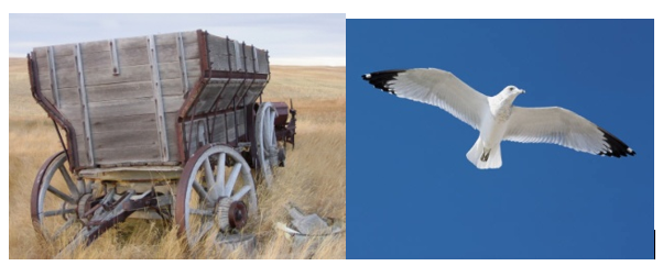 advance of flight 