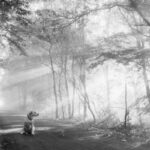 early years of Dickmans Road