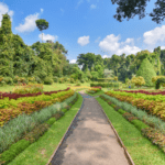 peradeniya botanical garden