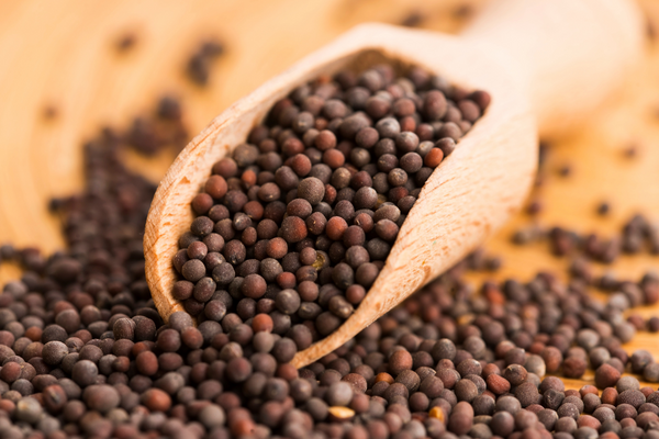 Mustard seeds