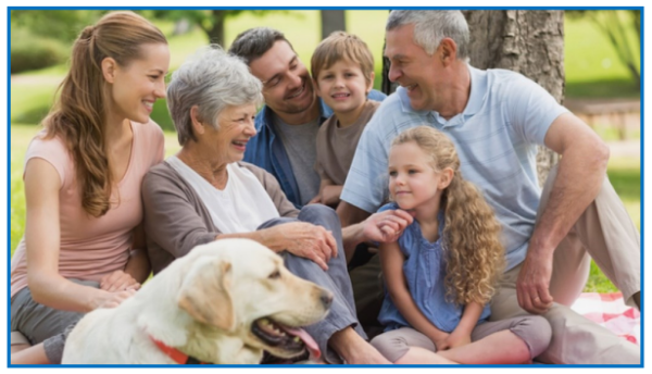 BOOST CARE - find out if your loved one is eligible for government funded home care services in their own home – Sydney & Melbourne - elanka