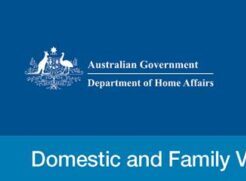Domestic and Family Violence Support Section newsletter