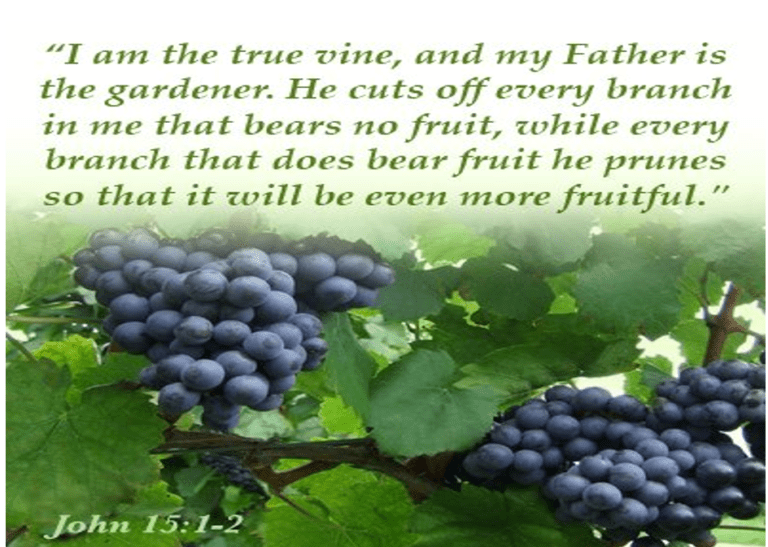 LET THE DEAD BURY THEIR OWN – By  Lakshman Navaratne