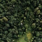 Mother Nature