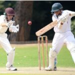 cricket