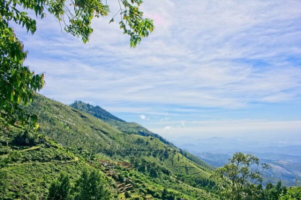 “THE SRI LANKAN STORY” – by Des Kelly