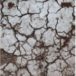 earth tremors
