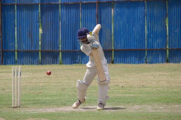 Cricket
