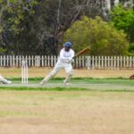 Cricket