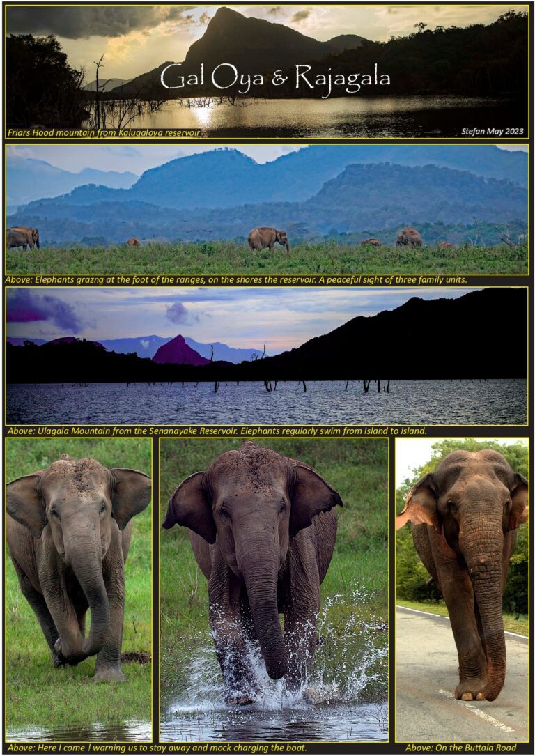 Gal Oya and Rajagala 2023 – by Stefan D’silva