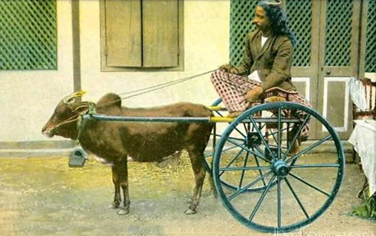 ගැල් යුගය - elanka