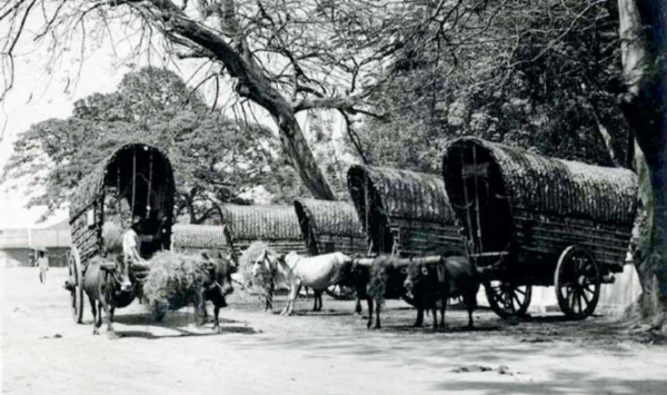 ගැල් යුගය - elanka