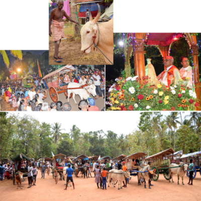 ගැල් යුගය - elanka