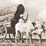 ගැල් යුගය - elanka