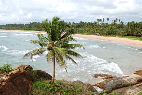 Bentota Beach - elanka