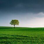 World Environment Day – June 5 - elanka