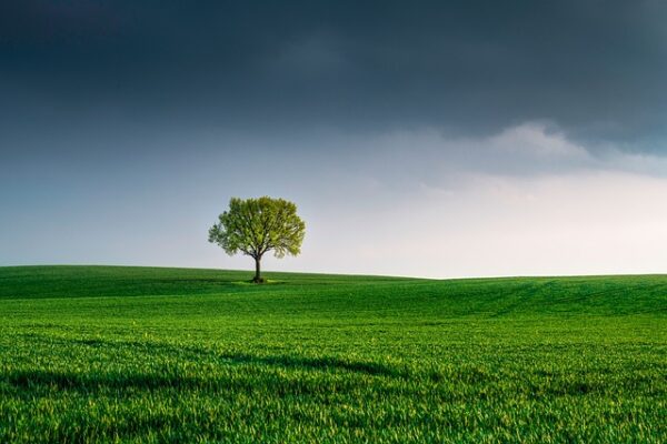 World Environment Day – June 5 - elanka