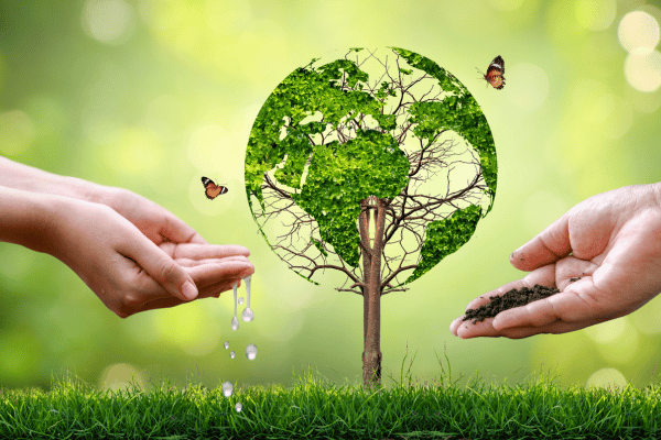 World Environment Day - elanka