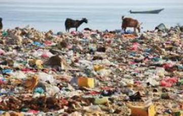 World Environment Day - June 5