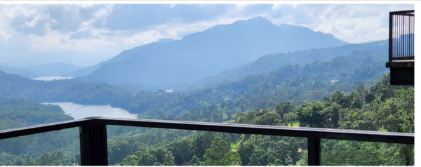 View of the Dam from Tea Bush deck