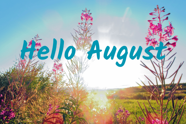 Hello August - elanka