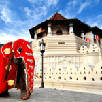 Kandy Esala Perahera Festival 2023 - elanka