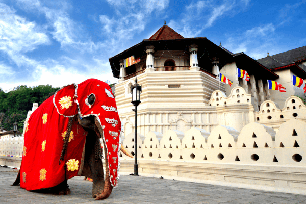 Kandy Esala Perahera Festival 2023 - elanka