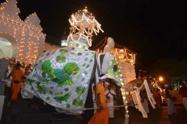 Kandy Esala perahara - eLanka