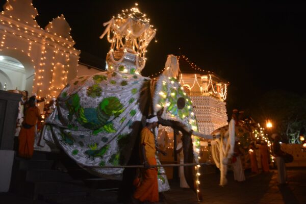 Kandy Esala perahara - eLanka