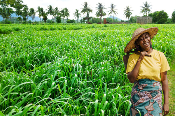 The Story Behind MosAway Siddhalepa’s All-Natural Mosquito Repellent Spray - By Melanie Senanayake